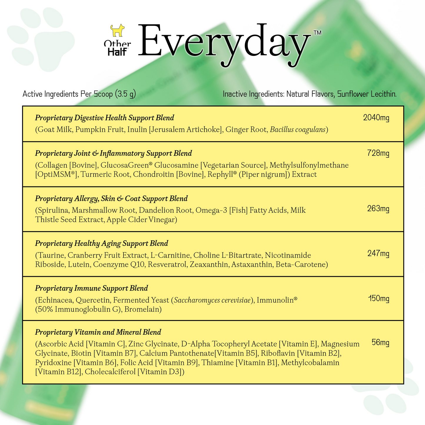 Everyday Daily Multivitamin