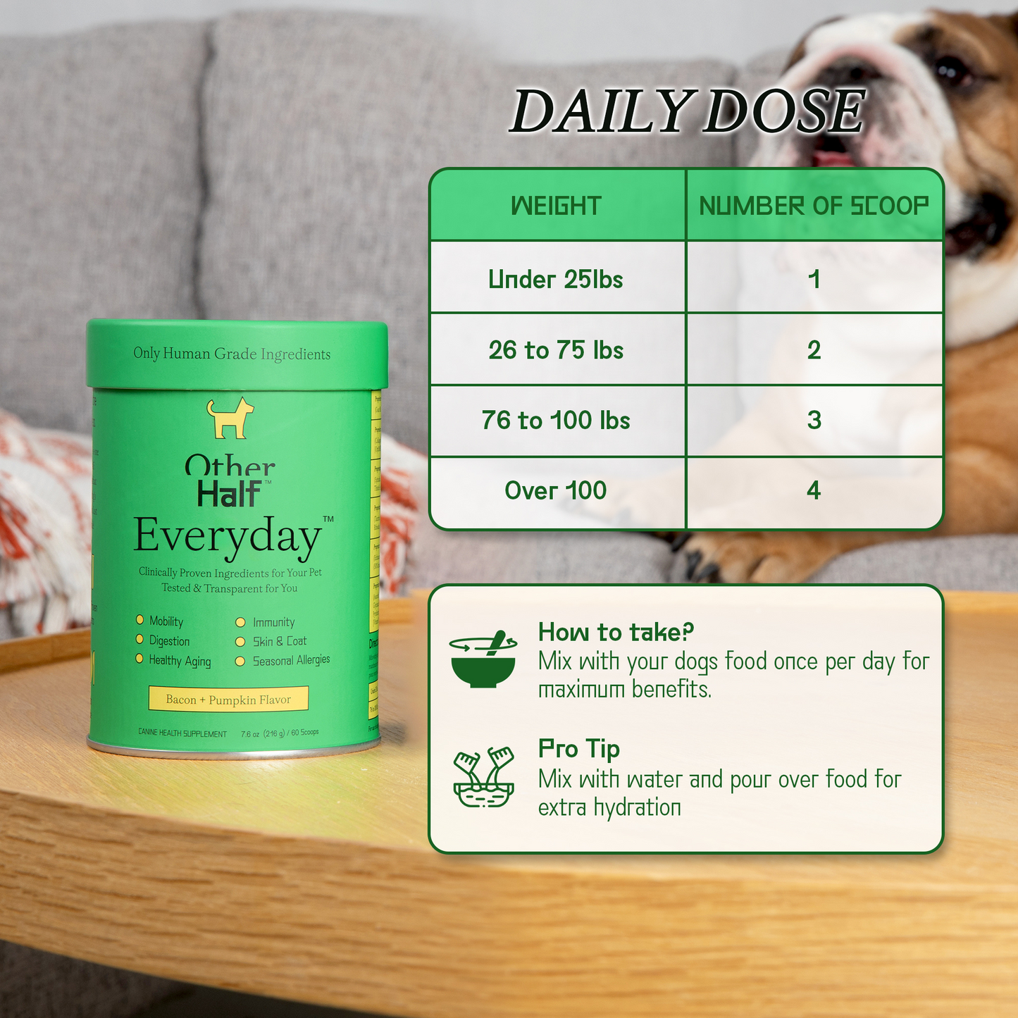 Everyday Daily Multivitamin