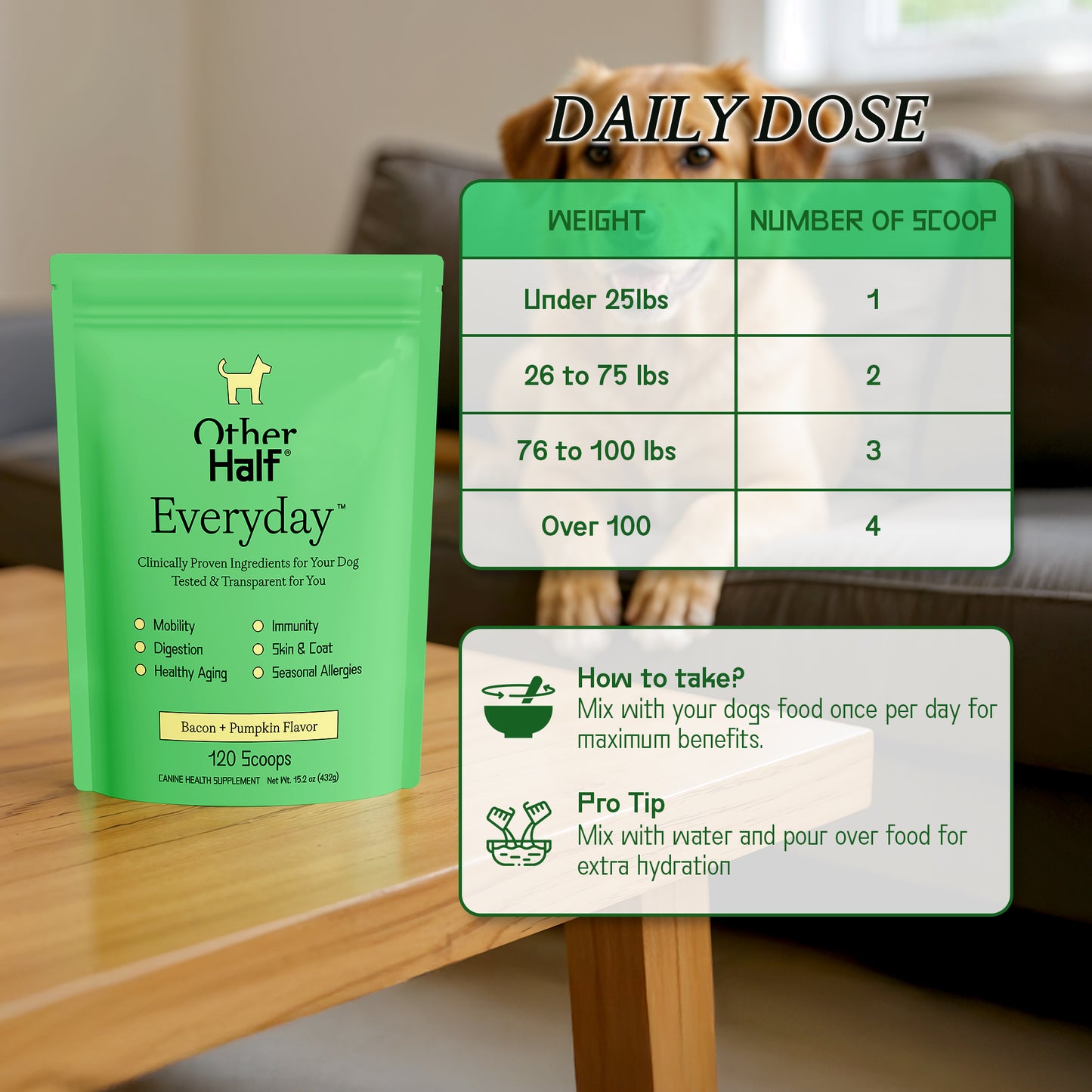 Everyday 120 Scoop Pouch