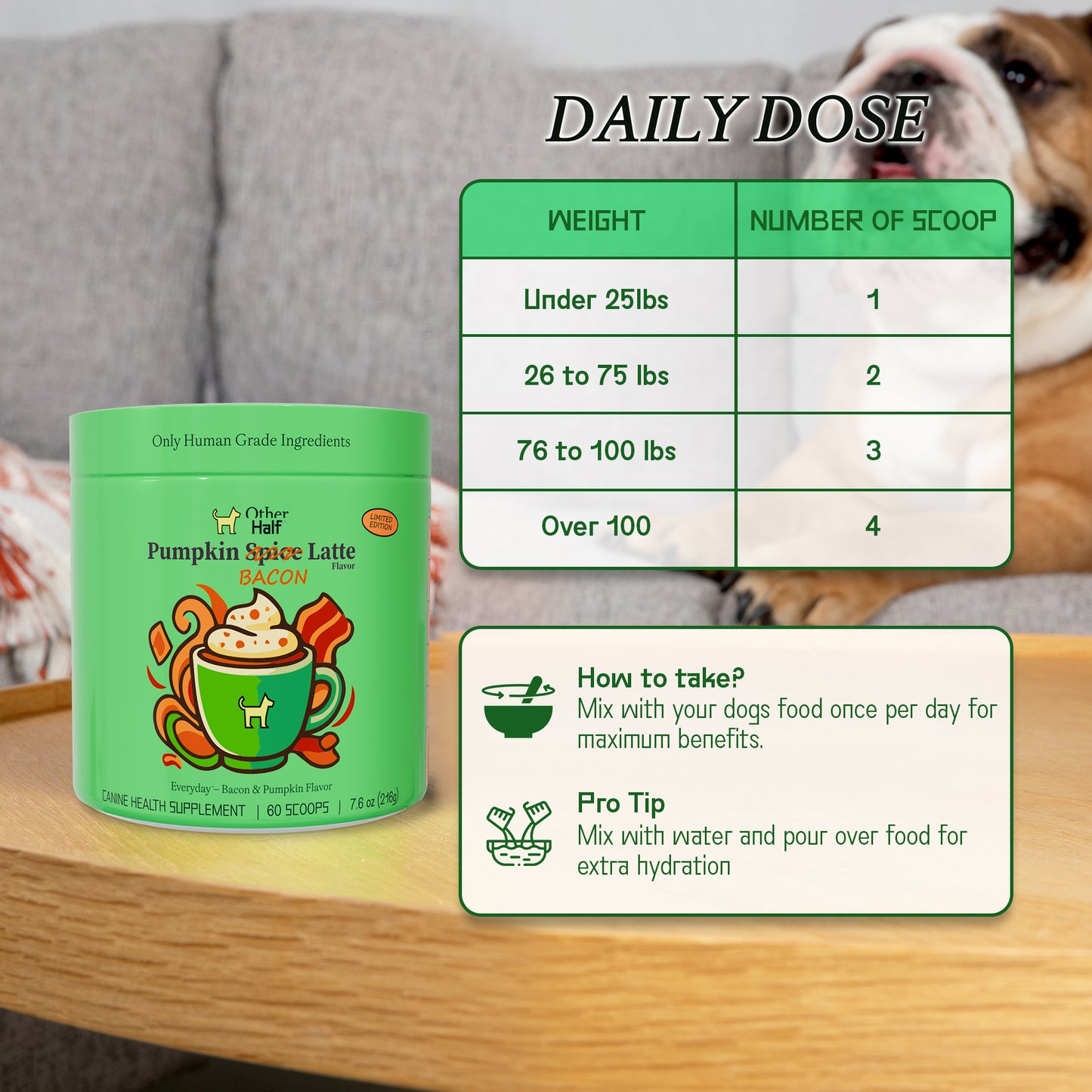 Everyday Pumpkin Bacon Latte Bundle