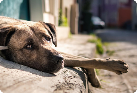 Moving Slower Than Usual