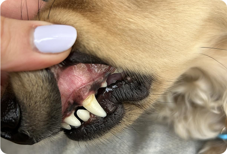 Breath That Bites Back