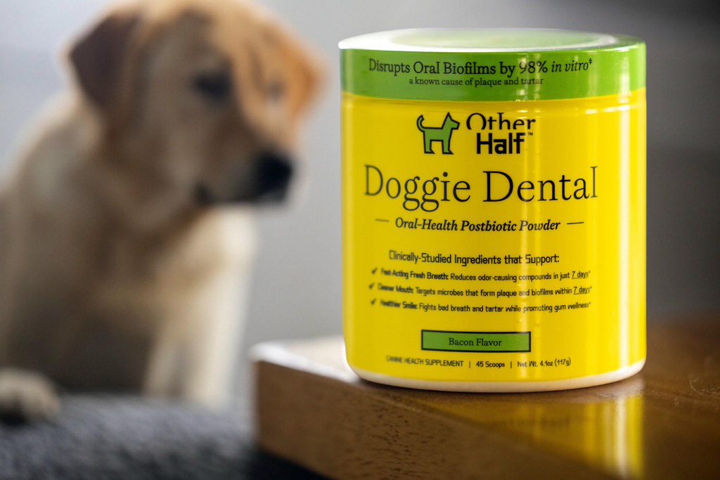 Faq Doggie Dental