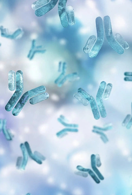 Immunolin