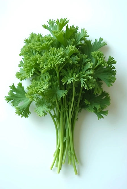 Parsley Powder