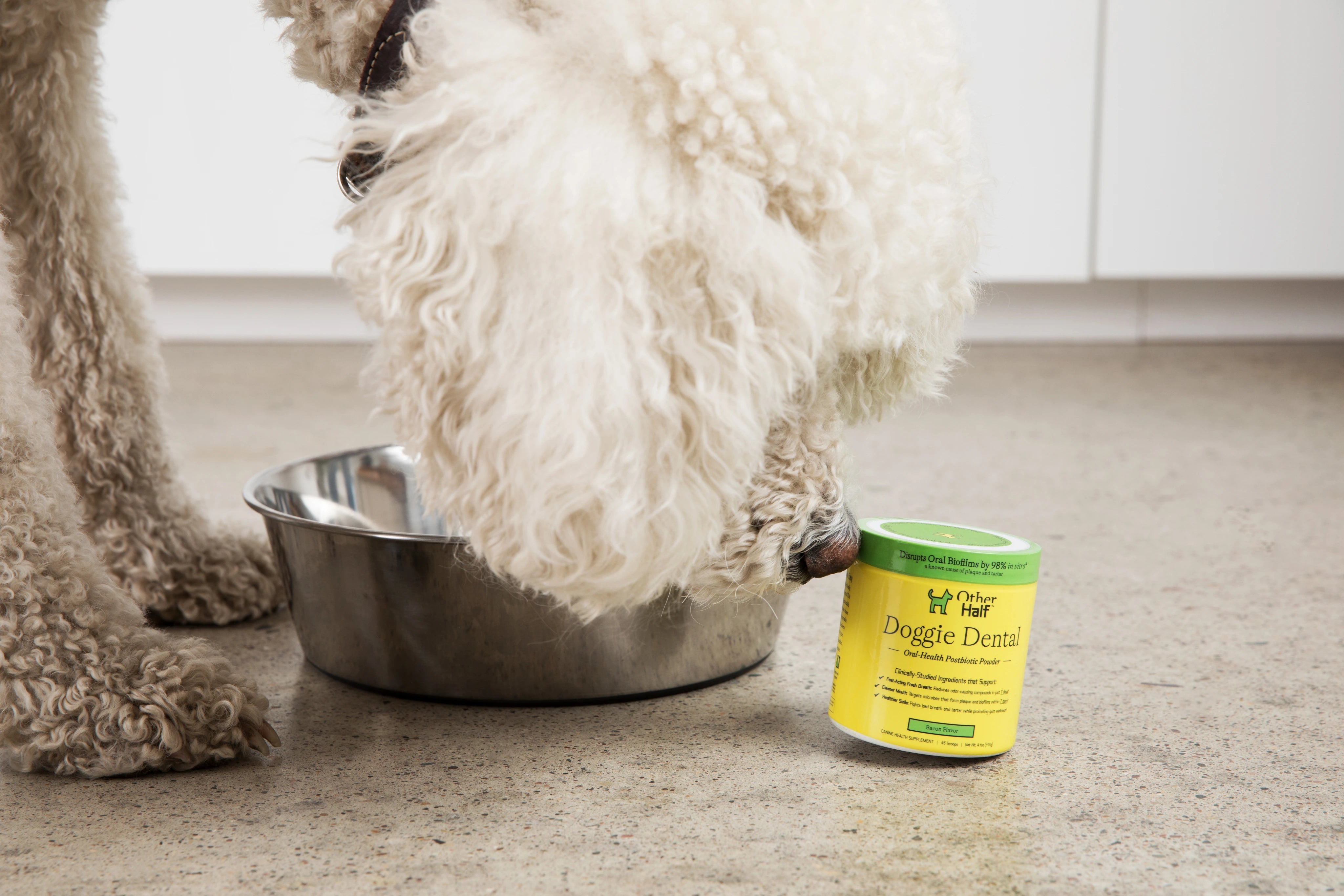 Dog with bowl