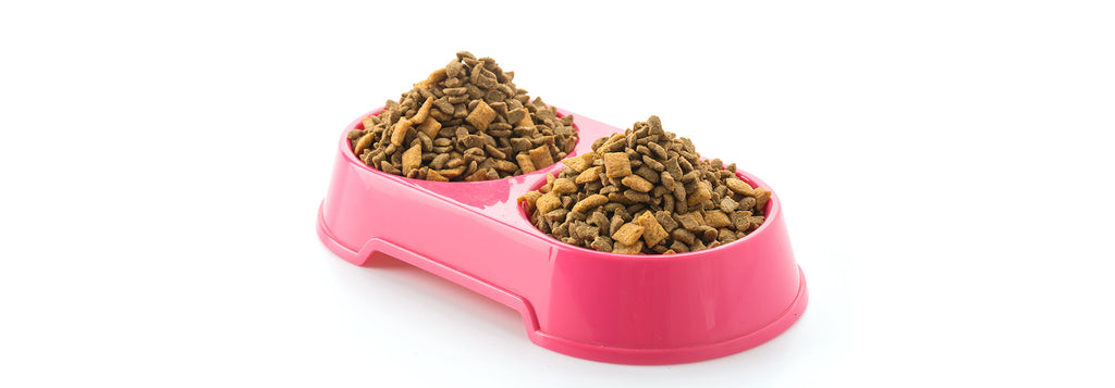 3 Easy Dog Kibble Topper Ideas for Beginners