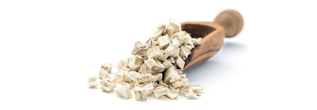 Marshmallow Root: A Natural Solution for Your Dog's Wellness