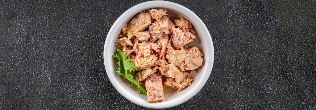 Taurine and Aging Dogs: A Key Nutrient for Lifelong Health