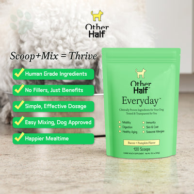 Everyday 120 Scoop Pouch Hover