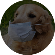 Allergy Support