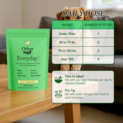 Everyday 120 Scoop Pouch