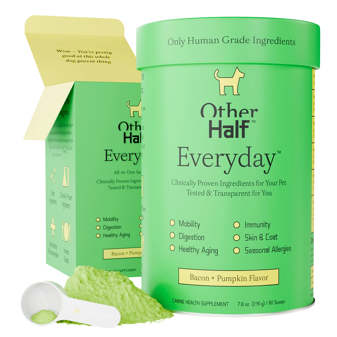 Everyday Daily Multivitamin