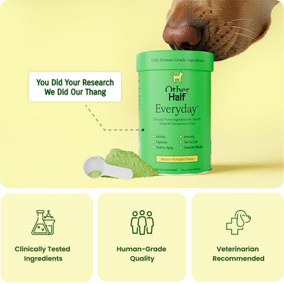Everyday Daily Multivitamin Hover