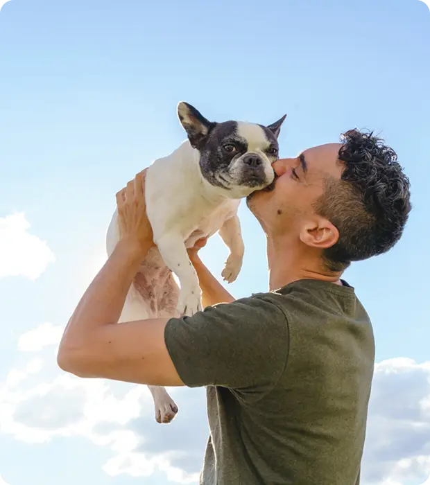 Happy dog with owner