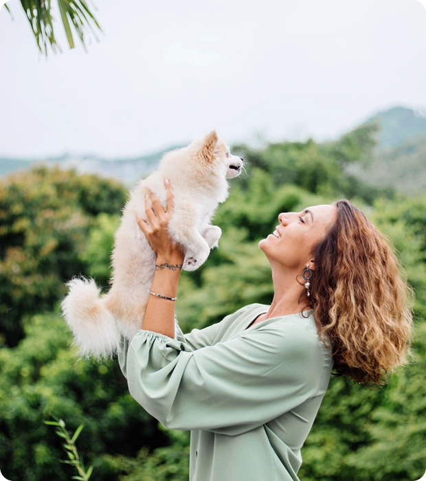 Dog playing outdoors