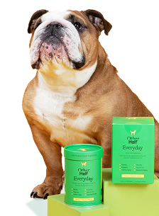 Bulldog with products