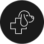 Vet-Recommended Icon